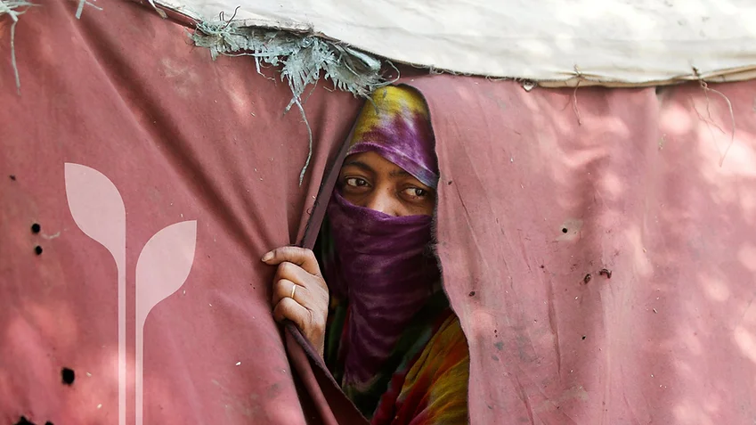 The Yemen Trend - December 2018 Issue