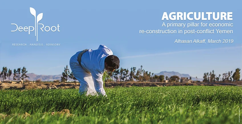 Agriculture: A primary pillar for economic re-construction in post-conflict Yemen