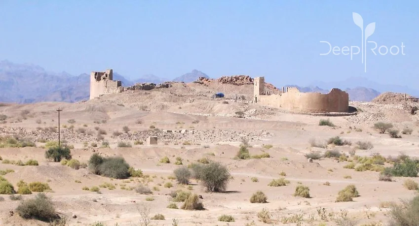 The Suffering Beyond the Stalemate: The Humanitarian Context in Serwah District